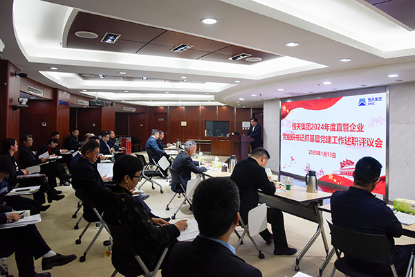 恒天集团召开2024年度直管企业党组织书...